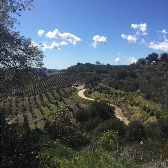 Meet your Posher, Kimberly - Picture 4 of 16